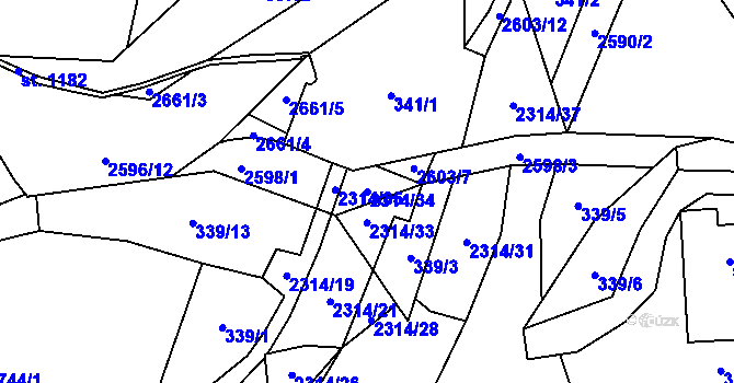 Parcela st. 2314/34 v KÚ Dolní Újezd u Litomyšle, Katastrální mapa