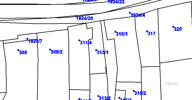Parcela st. 313/1 v KÚ Dolní Věstonice, Katastrální mapa