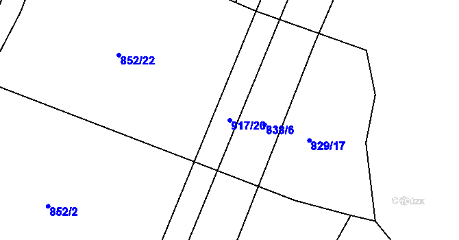 Parcela st. 917/20 v KÚ Dolní Životice, Katastrální mapa