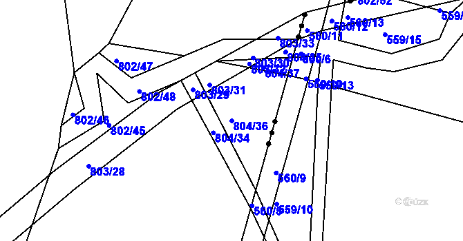 Parcela st. 804/36 v KÚ Dolní Životice, Katastrální mapa