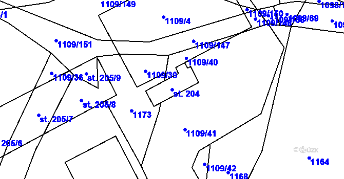 Parcela st. 204 v KÚ Domanín u Třeboně, Katastrální mapa