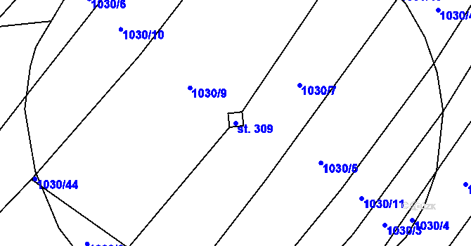 Parcela st. 309 v KÚ Domanín u Třeboně, Katastrální mapa