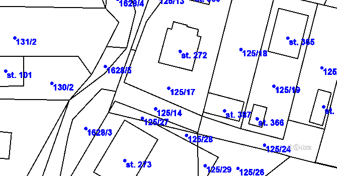 Parcela st. 125/17 v KÚ Domanín u Třeboně, Katastrální mapa