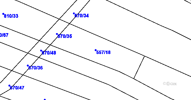 Parcela st. 557/18 v KÚ Domanín u Třeboně, Katastrální mapa