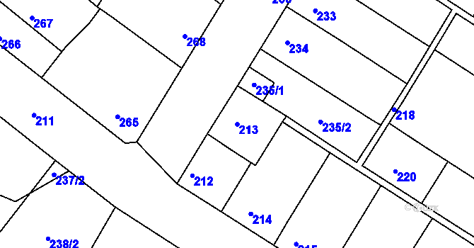 Parcela st. 213 v KÚ Domanín, Katastrální mapa
