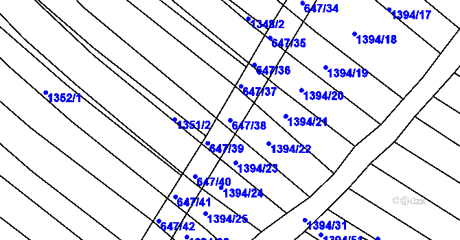 Parcela st. 647/38 v KÚ Domanín, Katastrální mapa