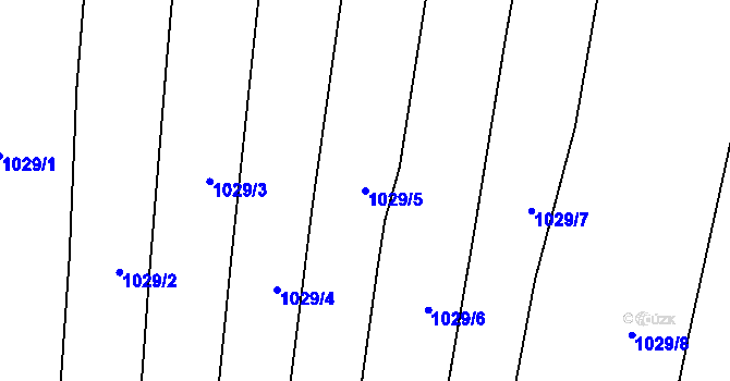 Parcela st. 1029/5 v KÚ Domanín, Katastrální mapa