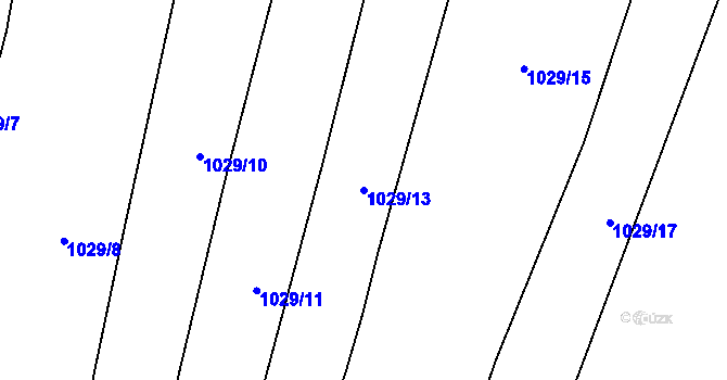 Parcela st. 1029/13 v KÚ Domanín, Katastrální mapa