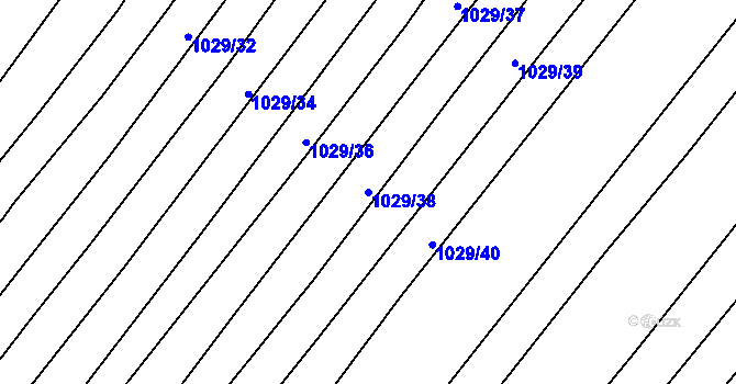 Parcela st. 1029/38 v KÚ Domanín, Katastrální mapa