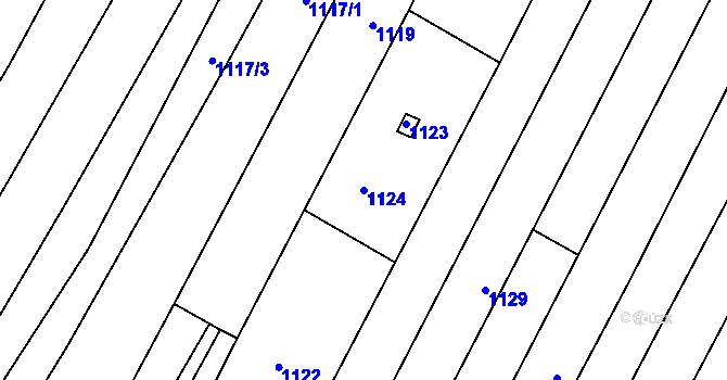Parcela st. 1124 v KÚ Domanín, Katastrální mapa