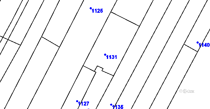 Parcela st. 1131 v KÚ Domanín, Katastrální mapa