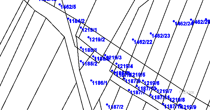 Parcela st. 1219/3 v KÚ Domanín, Katastrální mapa