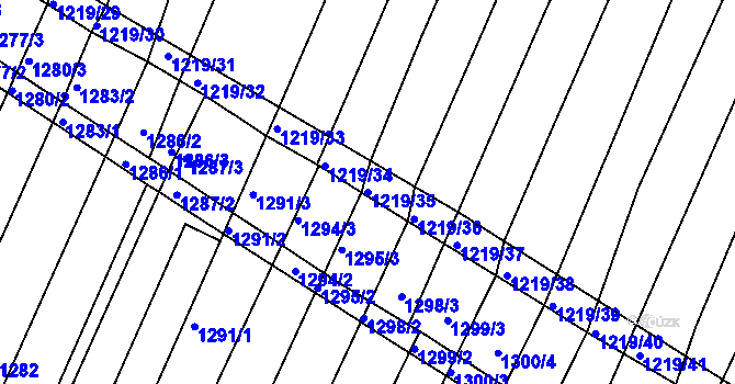 Parcela st. 1219/35 v KÚ Domanín, Katastrální mapa
