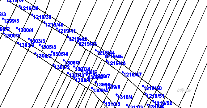 Parcela st. 1219/45 v KÚ Domanín, Katastrální mapa
