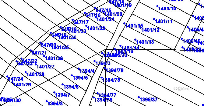 Parcela st. 1394/2 v KÚ Domanín, Katastrální mapa