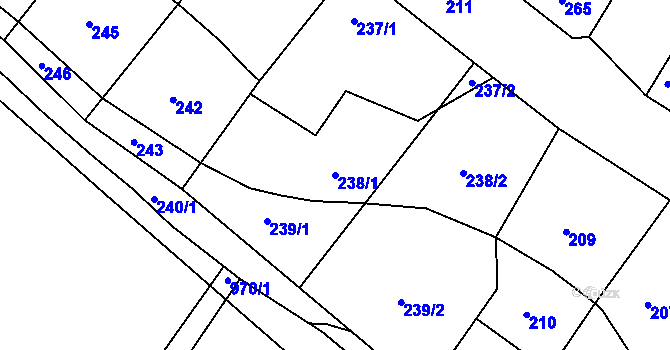 Parcela st. 238/1 v KÚ Domanín, Katastrální mapa