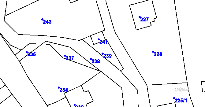 Parcela st. 239 v KÚ Domanín u Bystřice nad Pernštejnem, Katastrální mapa