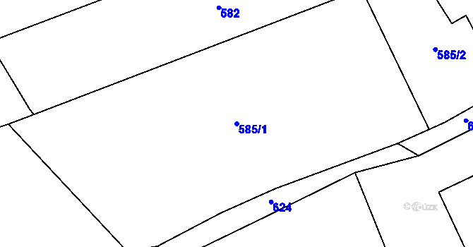 Parcela st. 585/1 v KÚ Domanín u Bystřice nad Pernštejnem, Katastrální mapa