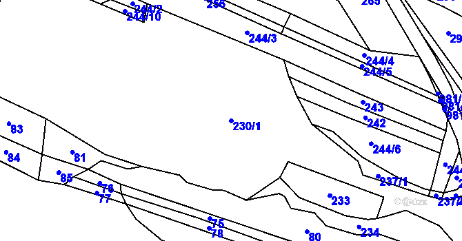 Parcela st. 230/1 v KÚ Hrazená Lhota, Katastrální mapa