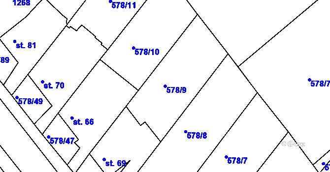 Parcela st. 578/9 v KÚ Říčky u Brna, Katastrální mapa