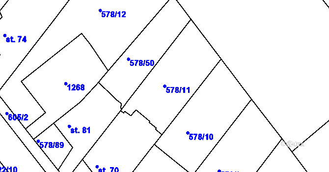 Parcela st. 578/11 v KÚ Říčky u Brna, Katastrální mapa