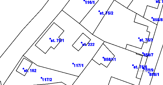 Parcela st. 222 v KÚ Domousnice, Katastrální mapa