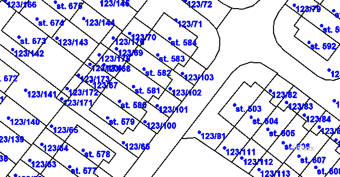Parcela st. 123/102 v KÚ Tašovice, Katastrální mapa