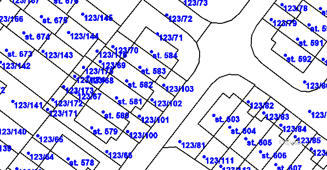 Parcela st. 123/103 v KÚ Tašovice, Katastrální mapa