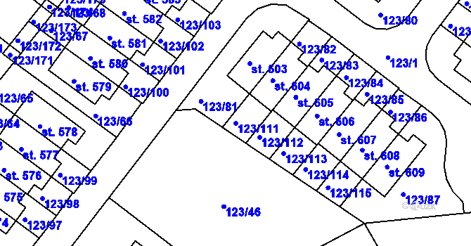 Parcela st. 123/111 v KÚ Tašovice, Katastrální mapa