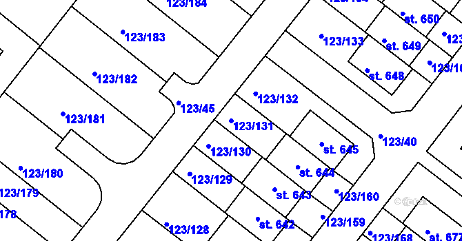 Parcela st. 123/131 v KÚ Tašovice, Katastrální mapa