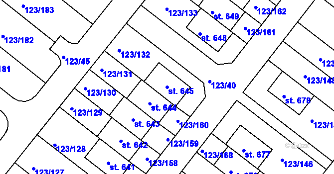 Parcela st. 645 v KÚ Tašovice, Katastrální mapa