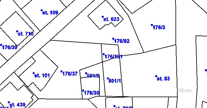 Parcela st. 176/101 v KÚ Tašovice, Katastrální mapa