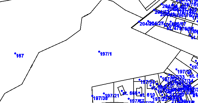 Parcela st. 197/1 v KÚ Tašovice, Katastrální mapa