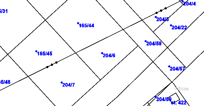 Parcela st. 204/6 v KÚ Tašovice, Katastrální mapa