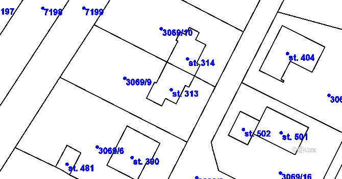 Parcela st. 313 v KÚ Doubravice nad Svitavou, Katastrální mapa