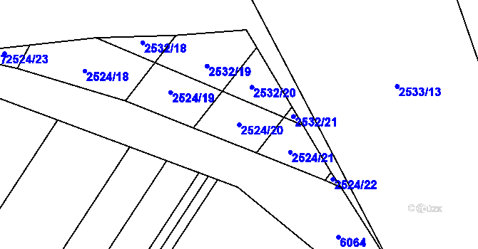 Parcela st. 2524/20 v KÚ Doubravice nad Svitavou, Katastrální mapa