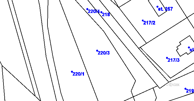 Parcela st. 220/3 v KÚ Doubravník, Katastrální mapa