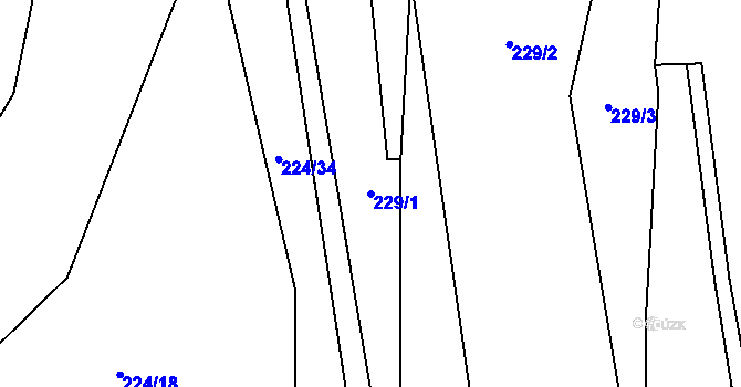 Parcela st. 229/1 v KÚ Doubravník, Katastrální mapa