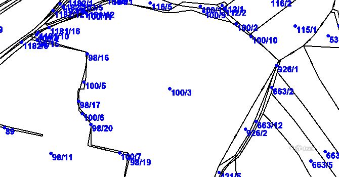Parcela st. 100/3 v KÚ Doudleby, Katastrální mapa