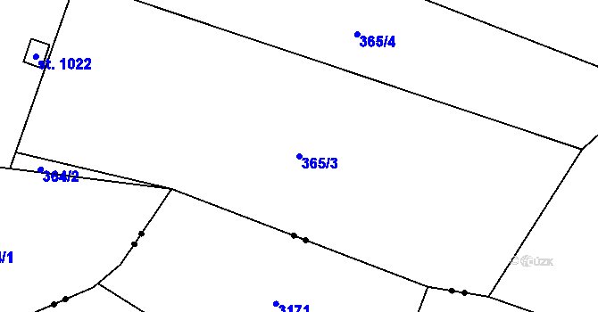 Parcela st. 365/3 v KÚ Doudleby nad Orlicí, Katastrální mapa