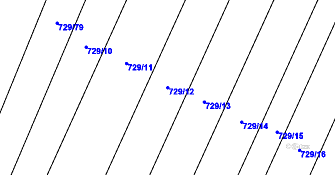 Parcela st. 729/12 v KÚ Ludéřov, Katastrální mapa