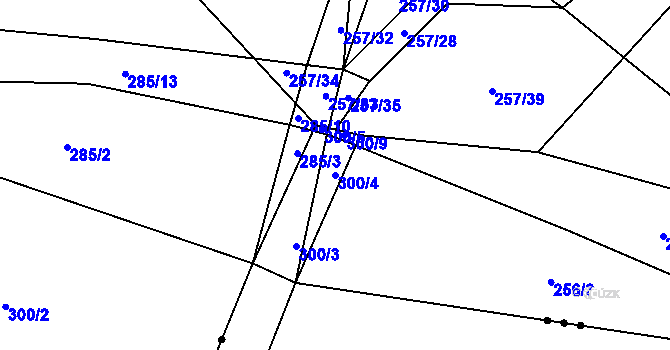 Parcela st. 300/4 v KÚ Drahkov, Katastrální mapa