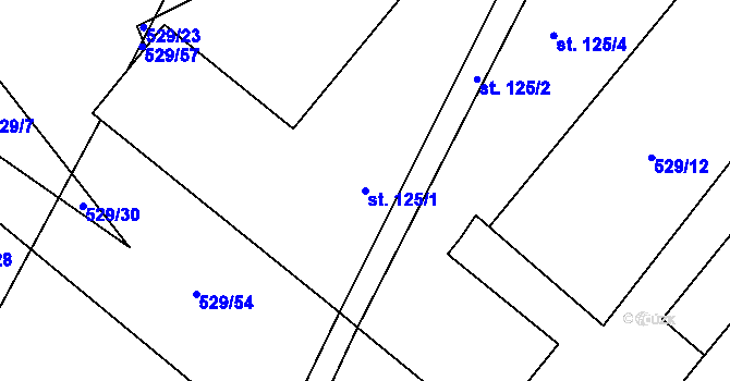 Parcela st. 125/1 v KÚ Drahobudice, Katastrální mapa