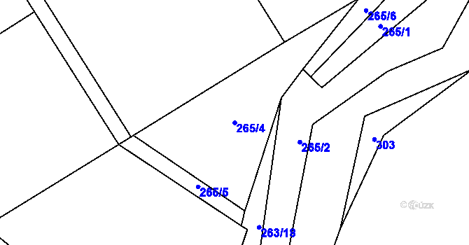 Parcela st. 265/4 v KÚ Drahobuz, Katastrální mapa