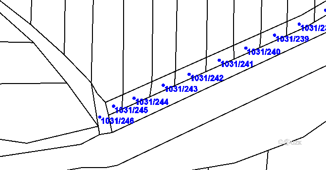 Parcela st. 1031/243 v KÚ Drahotuše, Katastrální mapa