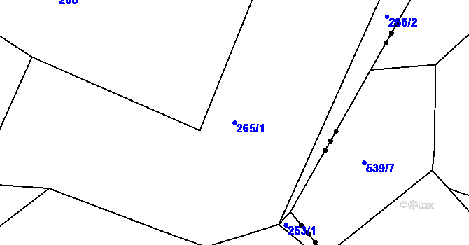 Parcela st. 265/1 v KÚ Dražice u Tábora, Katastrální mapa