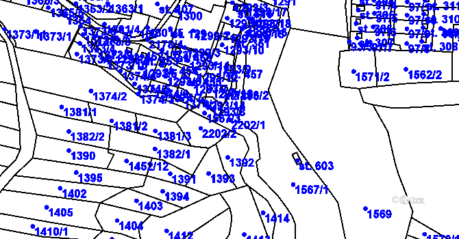 Parcela st. 2202/1 v KÚ Dražice u Tábora, Katastrální mapa