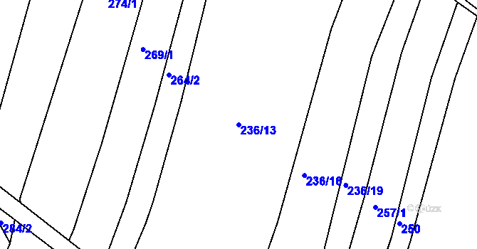 Parcela st. 236/13 v KÚ Drhovice, Katastrální mapa