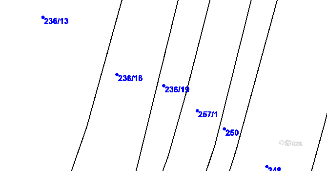 Parcela st. 236/19 v KÚ Drhovice, Katastrální mapa