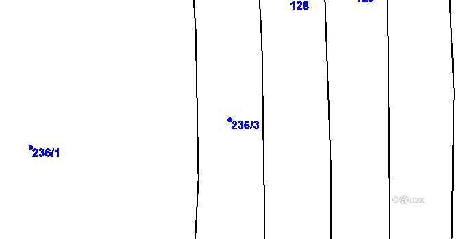 Parcela st. 236/3 v KÚ Dražíč, Katastrální mapa